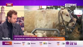 Le Salon de l'Agriculture, passage obligé des politiques