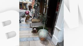 Les plantes et arbustes décorés pour les fêtes ont été dégradés dans des rues de Sisteron.