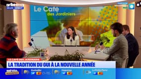 Le Café des Jardiniers: le rôle clé du Gui dans la biodiversité