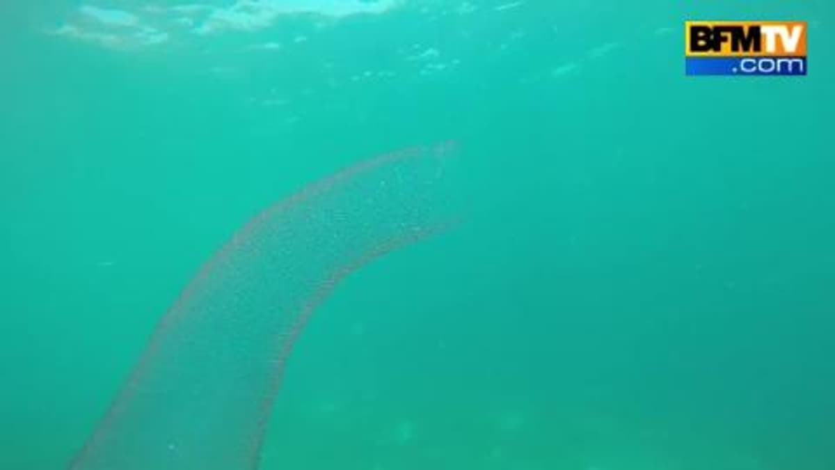placeholder video