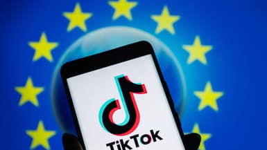Le réseau social Tiktok.