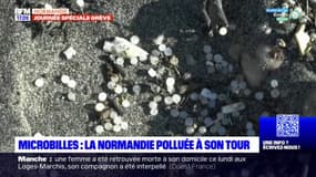Microbilles: la Normandie polluée à son tour