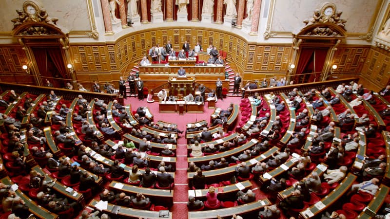 Dans l'hémicycle du Sénat, l'UMP qui devrait reprendre la présidence, pourrait en pour construire son projet d'alternance