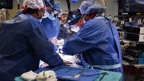 Les chirurgiens de l'école de médecine de l'université du Maryland réalisant la transplantation, le 7 janvier 2022, photo d'illustration