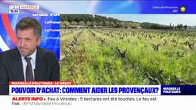 Législatives dans les Bouches-du-Rhône: Franck Allisio, candidat RN, veut "desserrer l'étau fiscal et réglementaire" pour les agriculteurs