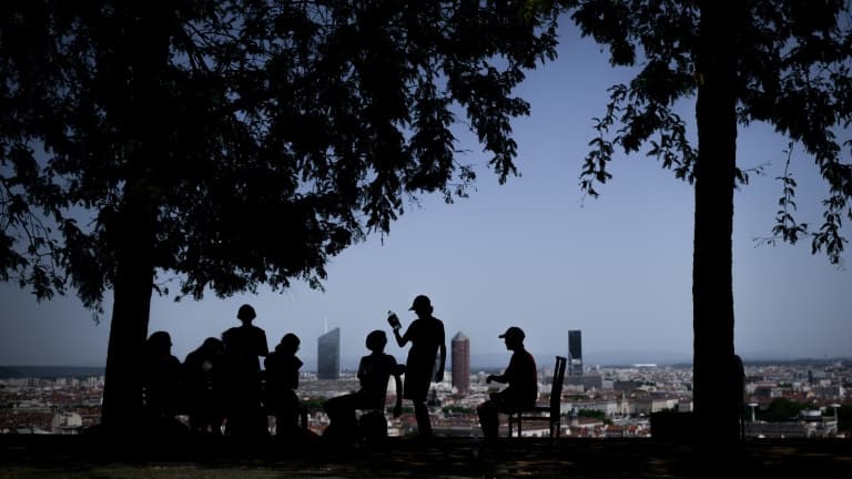 Des habitants à l'ombre des arbres dans un parc à Lyon, lors d'une vague de chaleur, le 25 juin 2025 dans le Rhône.
