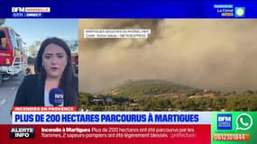 Incendie à Martigues: 1.000 sapeurs-pompiers toujours mobilisés