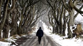 Cette route de hêtres tortueux près d'Armoy en Irlande du Nord figure la Route royale dans Game of Thrones. 