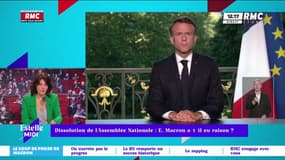 Élections européennes : "La dissolution permettra à Emmanuel Macron d'éviter un candidat RN crédible en 2027 !"