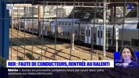 Île-de-France: faute de conducteurs, les lignes de RER C et D au ralenti 