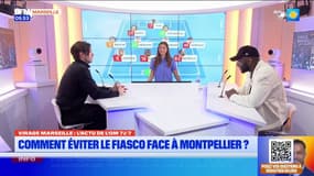 Eyguières : à la découverte des brebis Mérinos