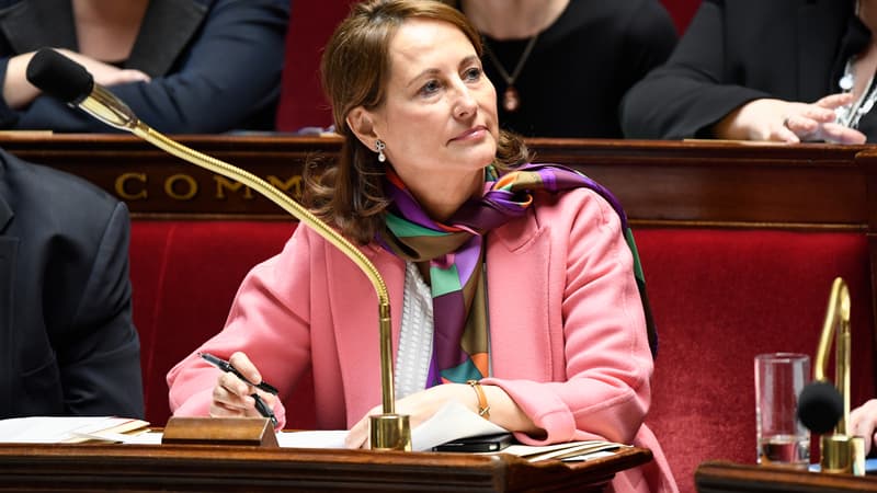 Ségolène Royal, le 24 janvier 2017. 