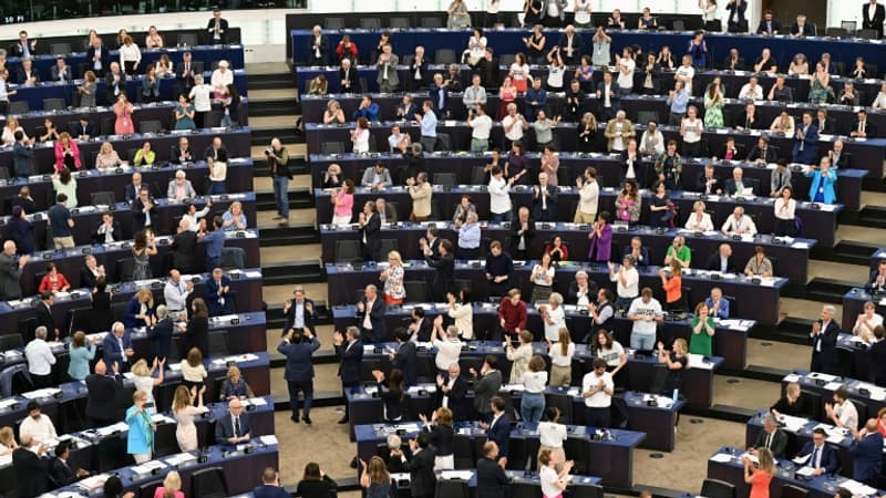 Résultats européennes: à quoi va ressembler le nouveau Parlement européen?