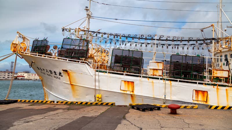 Violations des droits de l'homme, santé mentale, heures supplémentaires excessives... Une ONG dénonce le travail forcé et des abus dans le secteur de la pêche au calamar