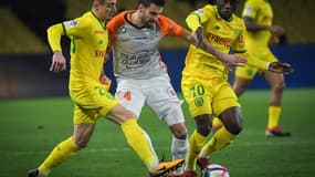 Le Tallec (MHSC)