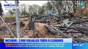 Licques: plus de 3.000 poulets meurent dans l'incendie d'un poulailler dans une ferme