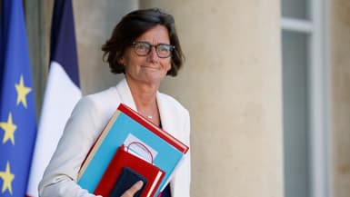 La ministre déléguée aux professions de santé Agnès Firmin Le Bodo.