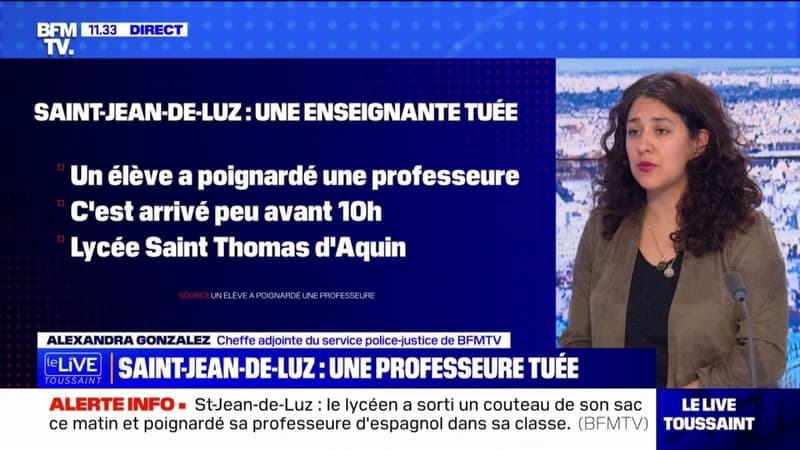 Saint-Jean-de-Luz: l'enseignante poignardée par un élève est décédée