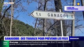 Alpes-de-Haute-Provence: des travaux pour prévenir les feux à Ganagobie