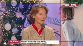Le monde de Macron : 45% des Français n'achèteront pas de sapin de Noël cette année - 11/11