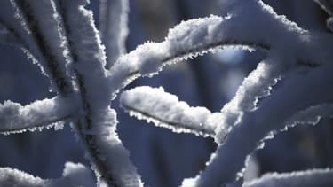 La neige devrait tomber dès ce week-end dans les Pyrénées.