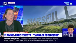 Marseille: un collectif dénonce "un carnage écologique" au parc Foresta