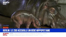 Le break du 9 octobre