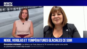 Neige: "Nous sommes heureux de lancer la saison dans ces conditions", se réjouit la présidente de Domaines Skiables de France