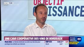 Thomas Sidky (Vignerons de Puisseguin Lussac Saint-Émilion) : Une cave coopérative des vins de Bordeaux - 24/07
