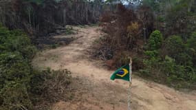 Une zone déforestée et brûlée de la forêt amazonienne en juillet 2022. 
