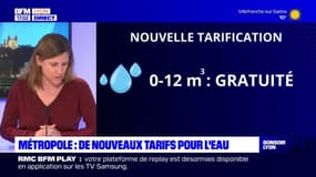 Métropole de Lyon: les tarifs de l'eau évoluent en fonction de la consommation