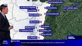 Météo Alsace: quelques éclaircies avant le retour de nuages en fin de journée ce dimanche