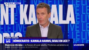 Présidentielle américaine: qui sont les favoris pour être colistier de Kamala Harris, si elle devient candidate démocrate?