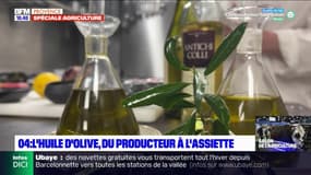 Alpes-de-Haute-Provence: l'huile d'olive, du producteur à l'assiette