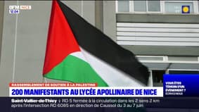 Nice: 200 manifestants au lycée Guillaume Apollinaire en soutien à la Palestine