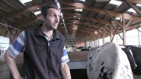 Faut-il arrêter de manger de la viande? "On utilise la génétique pour répondre à nos objectifs"
