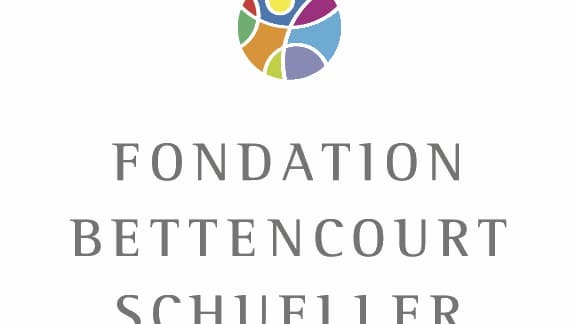 La fondation fait l'objet d'un audit commandé par L. Bettencourt