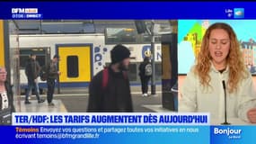 Hauts-de-France: le prix des TER augmente dès ce jeudi