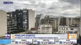 Disparition des réservoirs de Grenelle, dans le 15e arrondissement: "Nous avons dressé une carte thermique qui prouve que ces bassins ne sont pas des ilots de fraîcheur", affirme Pénélope Komitès, adjointe à la mairie de Paris chargée des espaces verts