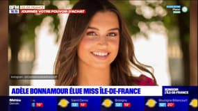 Adèle Bonnamour est la nouvelle miss Île-de-France