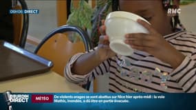 Au moins un repas végétarien par semaine à la cantine: à Bègles, tout le monde est déjà convaincu 