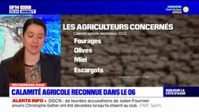 Alpes-Maritimes: la calamité agricole reconnue en raison de la sécheresse