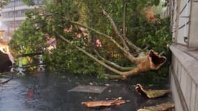 Des dégâts ont été constatés à Paris après le passage d'un violent orage, le mercredi 25 juin.