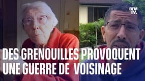 "On ne peut pas dormir": des grenouilles provoquent un conflit de voisinage en Savoie