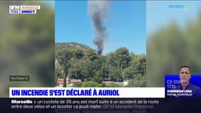 Bouches-du-Rhône: un incendie se déclare à Auriol, une centaine de pompiers mobilisés