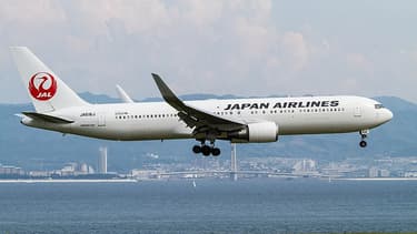 A partir de fin février, la compagnie Japan Airlines offre des vols à l'intérieur du pays pour cet été.