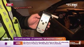 Sécurité routière : le cannabis, "un mauvais combat" ? 