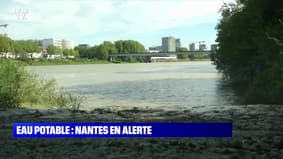 Eau potable : Nantes en alerte - 13/09