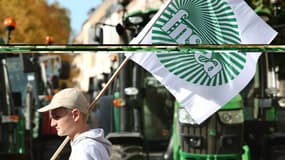 Un agriculteur brandit le drapeau de la FNSEA lors d'un rassemblement organisé par la FDSEA Bas-Rhin (Fédération départementale des syndicats d'exploitants agricoles) et les Jeunes agriculteurs du Bas-Rhin contre la "complexité administrative" et le retard de paiement des subventions, à Strasbourg, le 21 octobre 2024 (Illustration)
