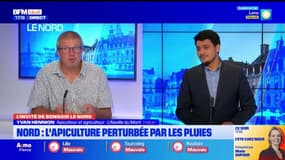 Nord: l'apiculture perturbée par les pluies
